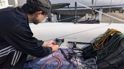 jib sheet